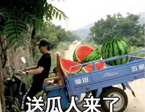 最近大瓜事件,揭秘明星隐私风波背后的真相-第1张图片-网曝911黑料热点事件