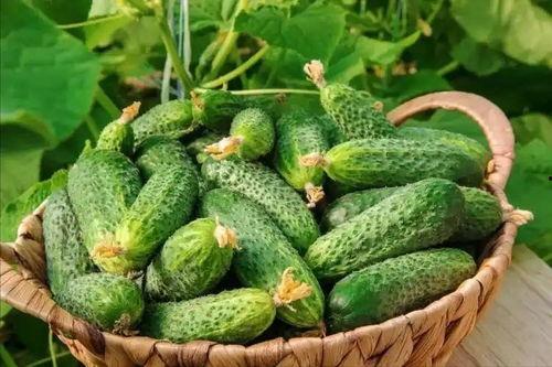 最近大瓜事件,揭秘明星隐私风波背后的真相-第2张图片-网曝911黑料热点事件