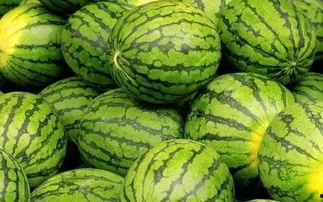 吃瓜网官网免费观看 吃瓜网官网,免费观看，畅享娱乐盛宴-第2张图片-网曝911黑料热点事件