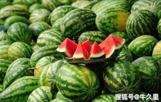 吃瓜尿酸会高吗,揭秘吃瓜与高尿酸的关联-第3张图片-网曝911黑料热点事件