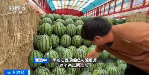 猪妹吃瓜,揭秘娱乐圈背后的那些事儿-第3张图片-网曝911黑料热点事件