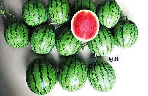 南宁财经吃瓜,揭秘吃瓜群众的财经热点追踪-第1张图片-网曝911黑料热点事件