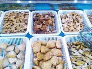 瓜沥吃的展会,一场味蕾与文化的碰撞展会概览-第2张图片-网曝911黑料热点事件