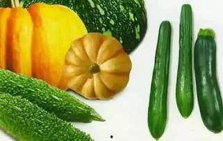 勤密瓜怎么吃,探索勤密瓜的多重美味吃法-第2张图片-网曝911黑料热点事件