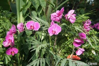 闺蜜吃瓜局-第1张图片-网曝911黑料热点事件