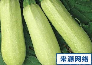 角瓜产妇可以吃吗,产妇适宜食用的营养佳品-第3张图片-网曝911黑料热点事件
