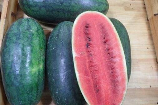 吃瓜青岛,探寻吃瓜者的天堂-第1张图片-网曝911黑料热点事件