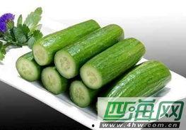 荷兰瓜减肥怎么吃,科学搭配，轻松享瘦饮食指南-第2张图片-网曝911黑料热点事件