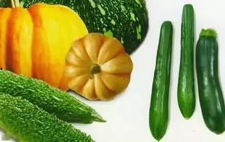 画桡吃瓜,一场视觉与味觉的盛宴-第3张图片-网曝911黑料热点事件