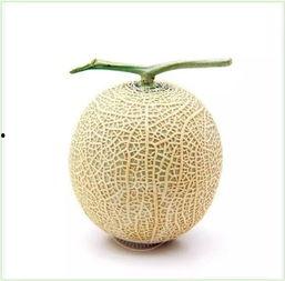 吃瓜鉴赏方法,解锁美食鉴赏新境界-第1张图片-网曝911黑料热点事件