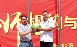 吃瓜群众哈尔滨,吃瓜群众眼中的冰城风情-第2张图片-网曝911黑料热点事件