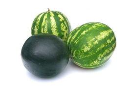 钱塘吃瓜事件视频-第2张图片-网曝911黑料热点事件