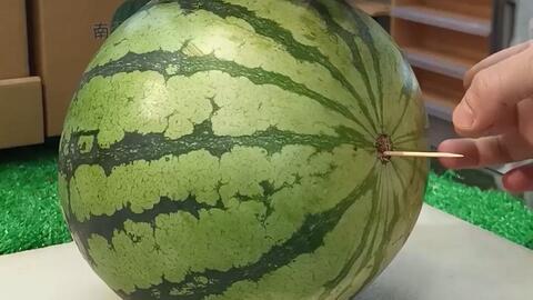 山东最新吃瓜视频,揭秘当地热门事件幕后真相-第3张图片-网曝911黑料热点事件