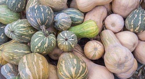 吃瓜来盘它-第1张图片-网曝911黑料热点事件