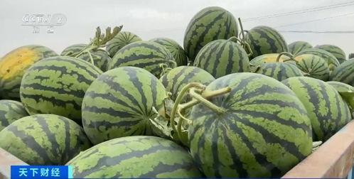 吃瓜早晨,揭秘娱乐圈最新热点事件-第1张图片-网曝911黑料热点事件