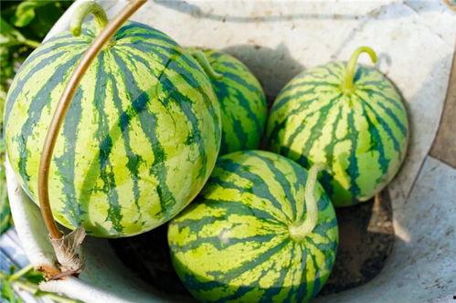 吃瓜早晨,揭秘娱乐圈最新热点事件-第3张图片-网曝911黑料热点事件