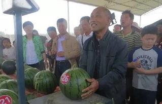 蒲城吃瓜群众地址,吃瓜群众的热闹日常-第1张图片-网曝911黑料热点事件