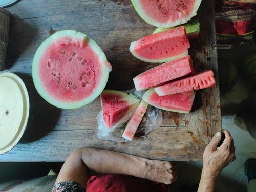 吃瓜想工厂,探寻瓜果产业的秘密加工之旅-第1张图片-网曝911黑料热点事件