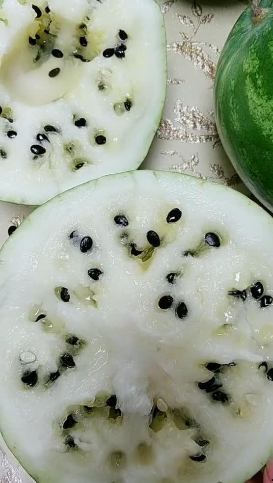 吃东北的瓜,品味东北特色美食之旅-第2张图片-网曝911黑料热点事件