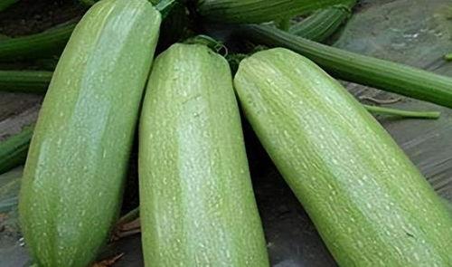 9-1吃瓜,揭秘网络热议背后的真相-第1张图片-网曝911黑料热点事件