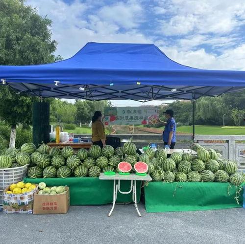 吃瓜群众白河,吃瓜群众的视角，揭秘娱乐圈风云变幻-第3张图片-网曝911黑料热点事件