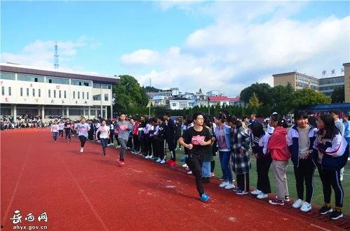 岳西中学吃瓜,揭秘校园里的热点话题-第3张图片-网曝911黑料热点事件