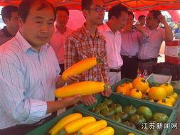 吃瓜卖瓜致富-第3张图片-网曝911黑料热点事件