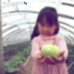 今晚8点吃瓜,今晚8点，一起品尝这场精彩“瓜宴”-第3张图片-网曝911黑料热点事件