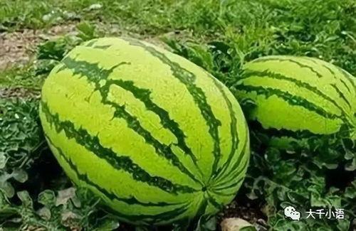 高密吃瓜最新-第2张图片-网曝911黑料热点事件