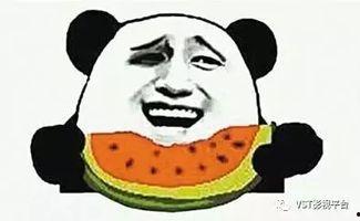 海外吃瓜群众磕博君一笑,海外吃瓜群众热议的磕糖盛宴-第1张图片-网曝911黑料热点事件