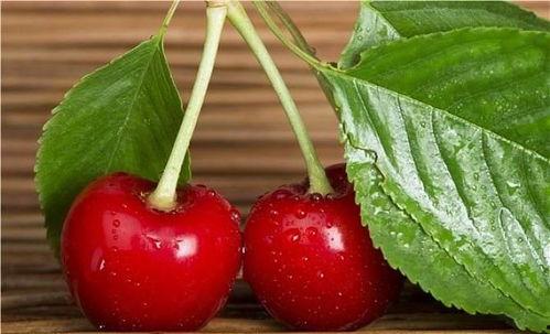 樱桃在线吃瓜群,揭秘网络社交圈的趣味与争议-第1张图片-网曝911黑料热点事件